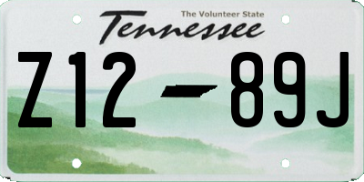 TN license plate Z1289J