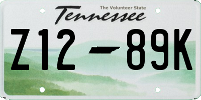 TN license plate Z1289K