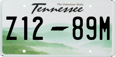 TN license plate Z1289M