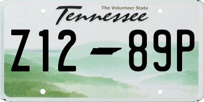 TN license plate Z1289P