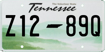 TN license plate Z1289Q