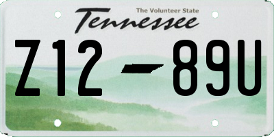 TN license plate Z1289U