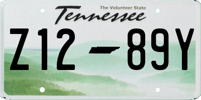 TN license plate Z1289Y