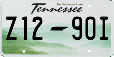 TN license plate Z1290I