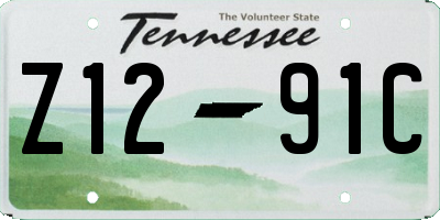 TN license plate Z1291C
