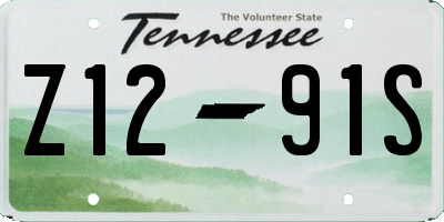 TN license plate Z1291S