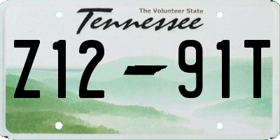 TN license plate Z1291T