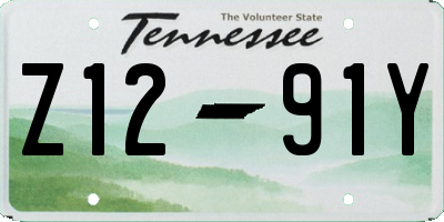 TN license plate Z1291Y