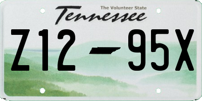 TN license plate Z1295X