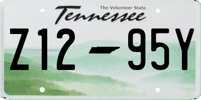 TN license plate Z1295Y