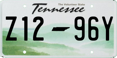TN license plate Z1296Y