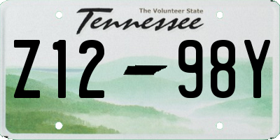 TN license plate Z1298Y