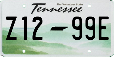 TN license plate Z1299E
