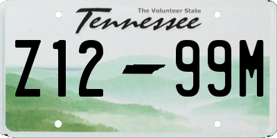 TN license plate Z1299M
