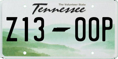 TN license plate Z1300P