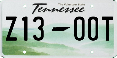 TN license plate Z1300T