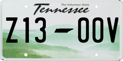 TN license plate Z1300V