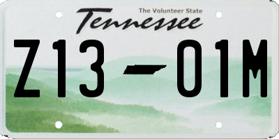 TN license plate Z1301M