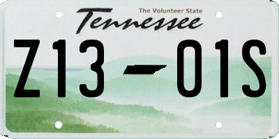 TN license plate Z1301S