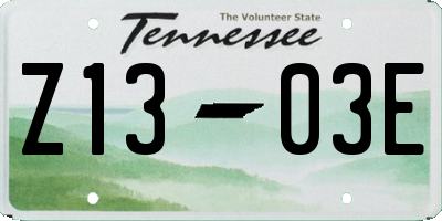 TN license plate Z1303E