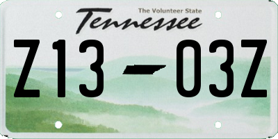 TN license plate Z1303Z