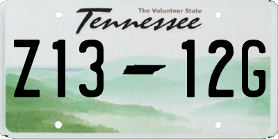 TN license plate Z1312G
