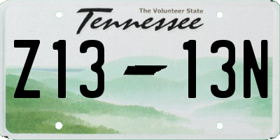 TN license plate Z1313N