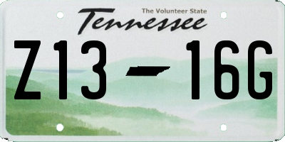 TN license plate Z1316G