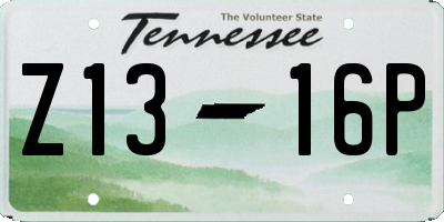 TN license plate Z1316P