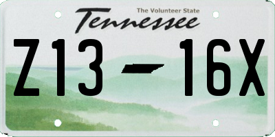 TN license plate Z1316X