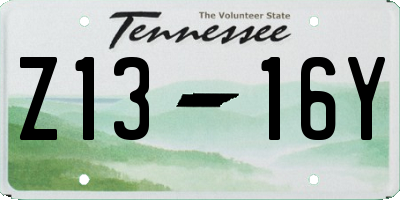 TN license plate Z1316Y
