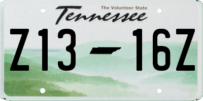 TN license plate Z1316Z