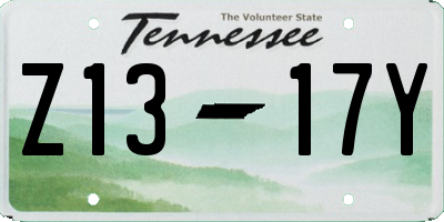 TN license plate Z1317Y