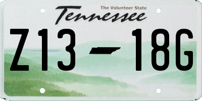 TN license plate Z1318G