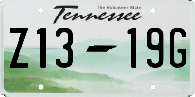 TN license plate Z1319G