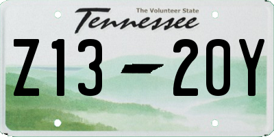 TN license plate Z1320Y