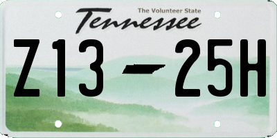 TN license plate Z1325H