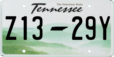 TN license plate Z1329Y