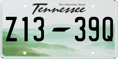 TN license plate Z1339Q