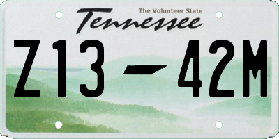 TN license plate Z1342M