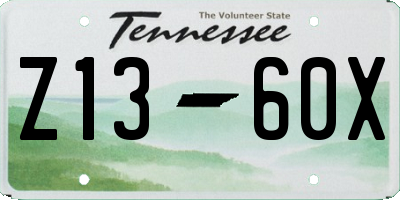 TN license plate Z1360X