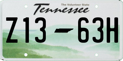 TN license plate Z1363H