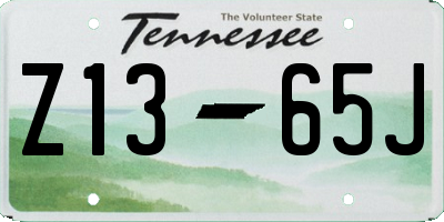 TN license plate Z1365J