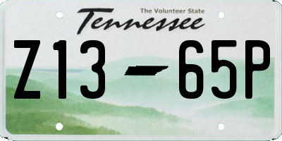 TN license plate Z1365P