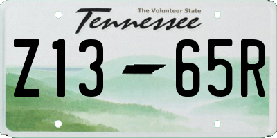 TN license plate Z1365R
