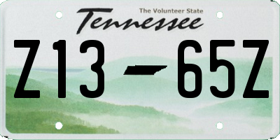 TN license plate Z1365Z