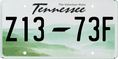 TN license plate Z1373F