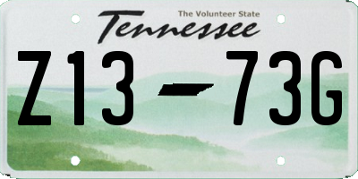 TN license plate Z1373G