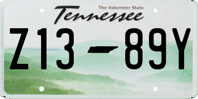 TN license plate Z1389Y