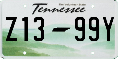 TN license plate Z1399Y